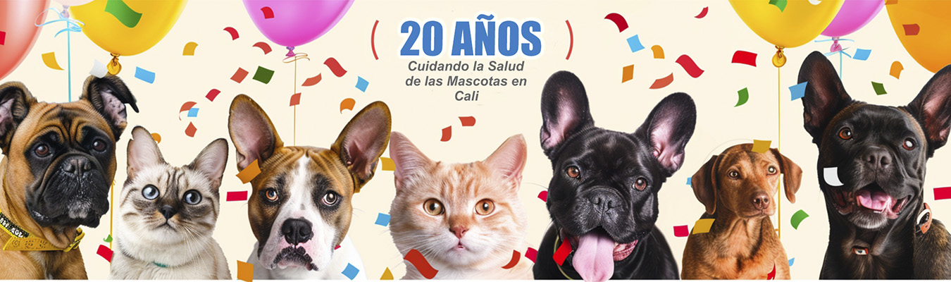 0-Petmour_cali_mascotas_fotos_veterinarios_petmourcali.com